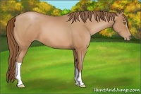 Horse Color:Brown Pearl