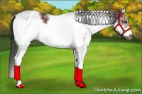 Horse Color:White Spotted Bay Frame 