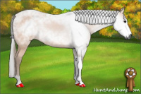 Horse Color:Gray Bay 