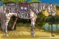 Horse Color:Sable Champagne Near Leopard and Sable Champagne Frame Near Leopard