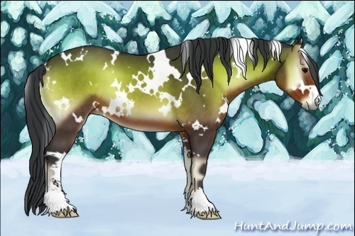 Horse Color:White Spotted Brown Onyx Sabino