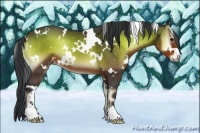 Horse Color:White Spotted Brown Onyx Sabino