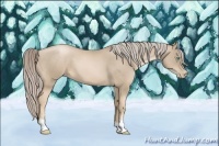 Horse Color:Chocolate Palomino Pearl 