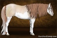 Horse Color:Smoky Black Pearl Splash Rabicano