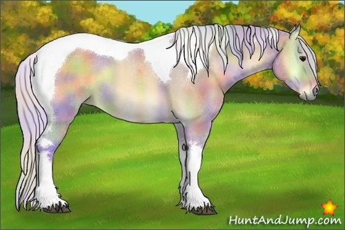 Horse Color:Nacre Watercolor Silver Buckskin Onyx Tobiano 