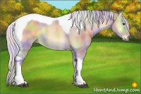 Horse Color:Nacre Watercolor Silver Buckskin Onyx Tobiano 