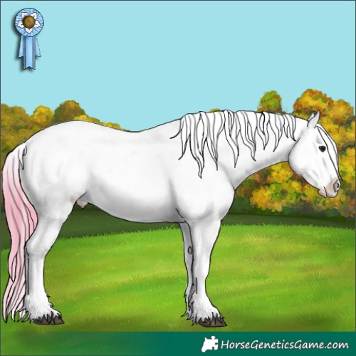 Horse Color:Watercolor Bay Roan Varnish 