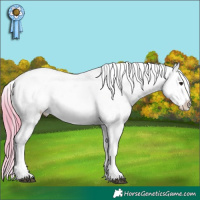 Horse Color:Watercolor Bay Roan Appaloosa 
