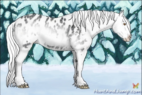 Horse Color:ERROR: UNKNOWN ANOMALY