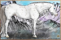 Horse Color:White Spotted Bay Splash Appaloosa