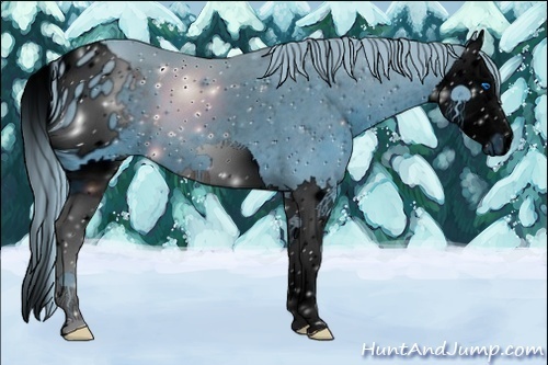 Horse Color:ERROR: UNKNOWN ANOMALY