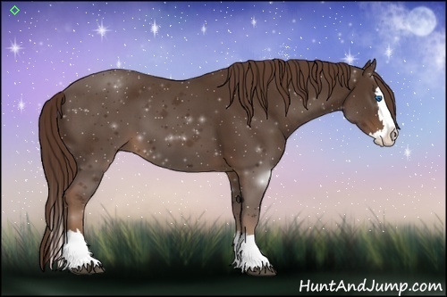 Horse Color:Liver Chestnut Sabino Splash