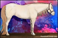Horse Color:Buckskin Pearl 
