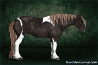 Horse Color:Liver Chestnut Ice Tobiano
