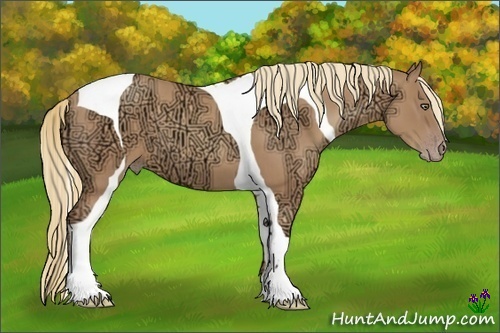 Horse Color:Gold Champagne Ice Tobiano 