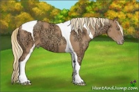 Horse Color:Gold Champagne Ice Tobiano