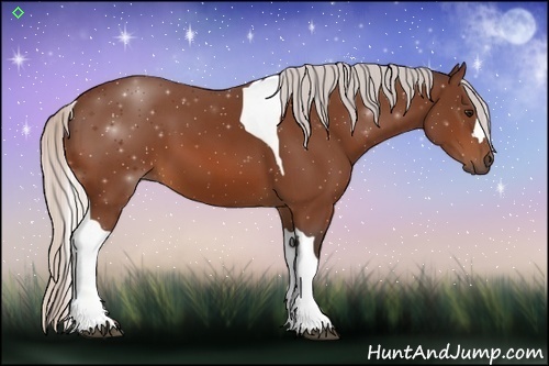 Horse Color:Silver Bay Tobiano