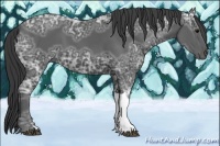Horse Color:Black Ice