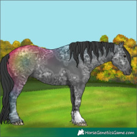 Horse Color:Black Ice 