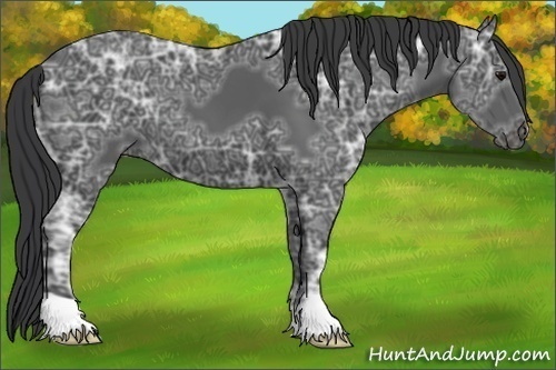 Horse Color:Black Ice