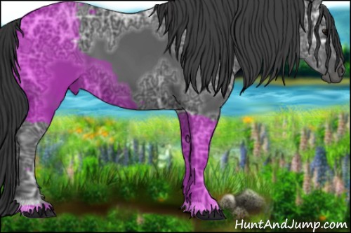 Horse Color:Black Ice 