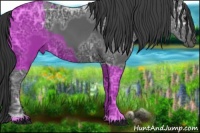 Horse Color:Black Ice 