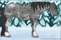 Horse Color:Black Ice