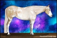Horse Color:Silver Black Pearl Sabino 