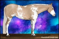 Horse Color:Silver Black Pearl Sabino Rabicano 