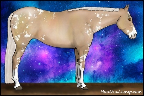 Horse Color:Silver Black Pearl Sabino