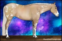 Horse Color:Silver Black Pearl Sabino