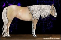 Horse Color:Silver Black Pearl Sabino Rabicano 