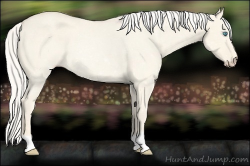 Horse Color:Cremello Roan Dun 