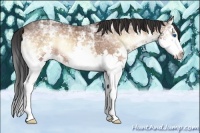 Horse Color:ERROR: UNKNOWN ANOMALY