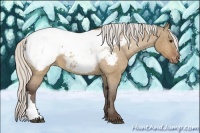 Horse Color:Silver Bay Roan Dun Appaloosa 
