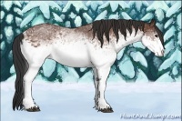 Horse Color:White Spotted Bay Rabicano