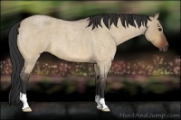 Horse Color:Bay Roan Dun 