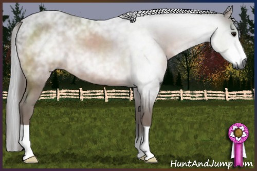 Horse Color:Gray Bay