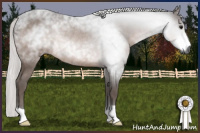 Horse Color:Gray Silver Bay Rabicano