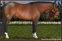 Horse Color:Brown Rabicano 