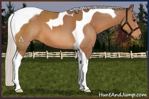 Horse Color:Silver Bay Tobiano 