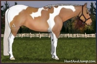 Horse Color:Silver Bay Tobiano