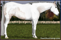 Horse Color:Gray Bay Tobiano Rabicano 