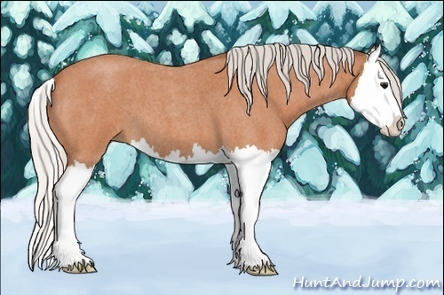 Horse Color:Silver Bay Roan Splash 