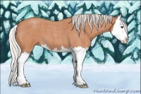 Horse Color:Silver Bay Roan Splash