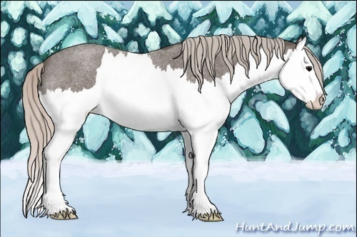 Horse Color:Silver Blue Roan Splash 