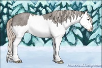 Horse Color:Silver Blue Roan Splash 