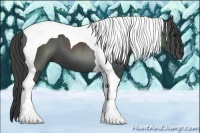 Horse Color:Smoky Black Tobiano