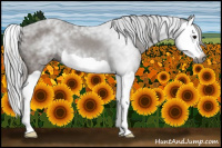 Horse Color:Gray Black Splash