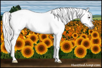 Horse Color:Gray Black Splash 